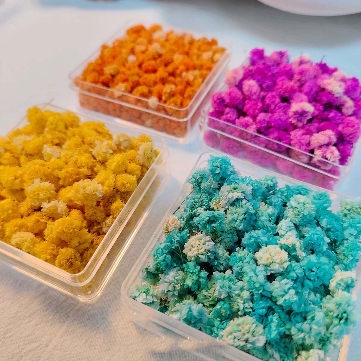 Soap Making Books - 1 Doos Bloemknoppen voor DIY handgemaakte