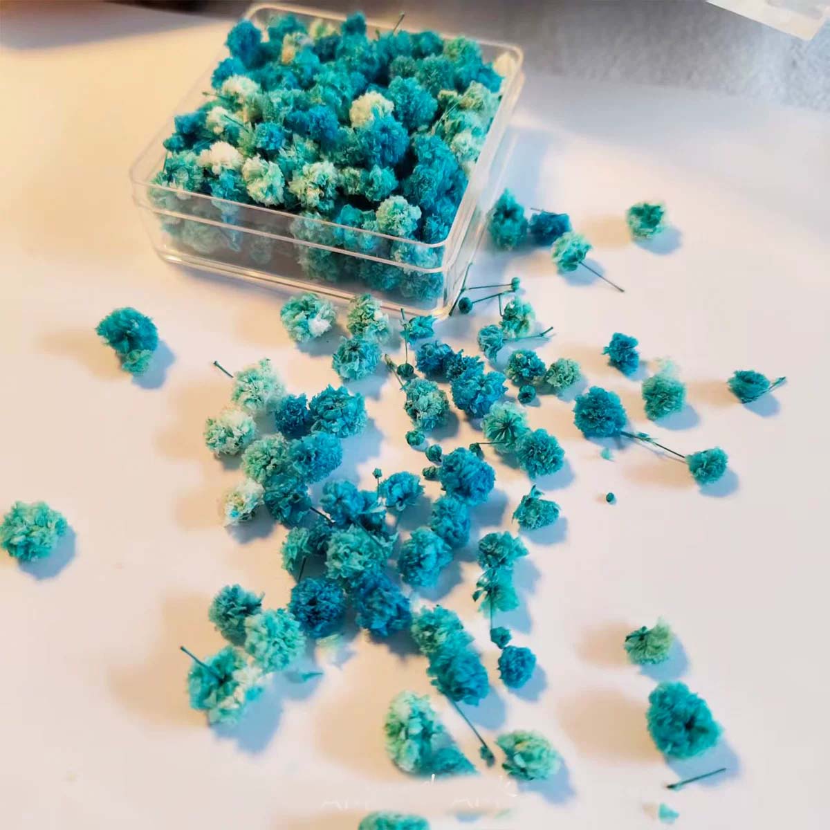1 Doos Bloemknoppen voor DIY h - Soap Making Books recensie en prijs